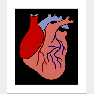 Human Heart Posters and Art